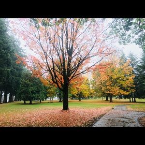 Meet your Posher, Marjorie